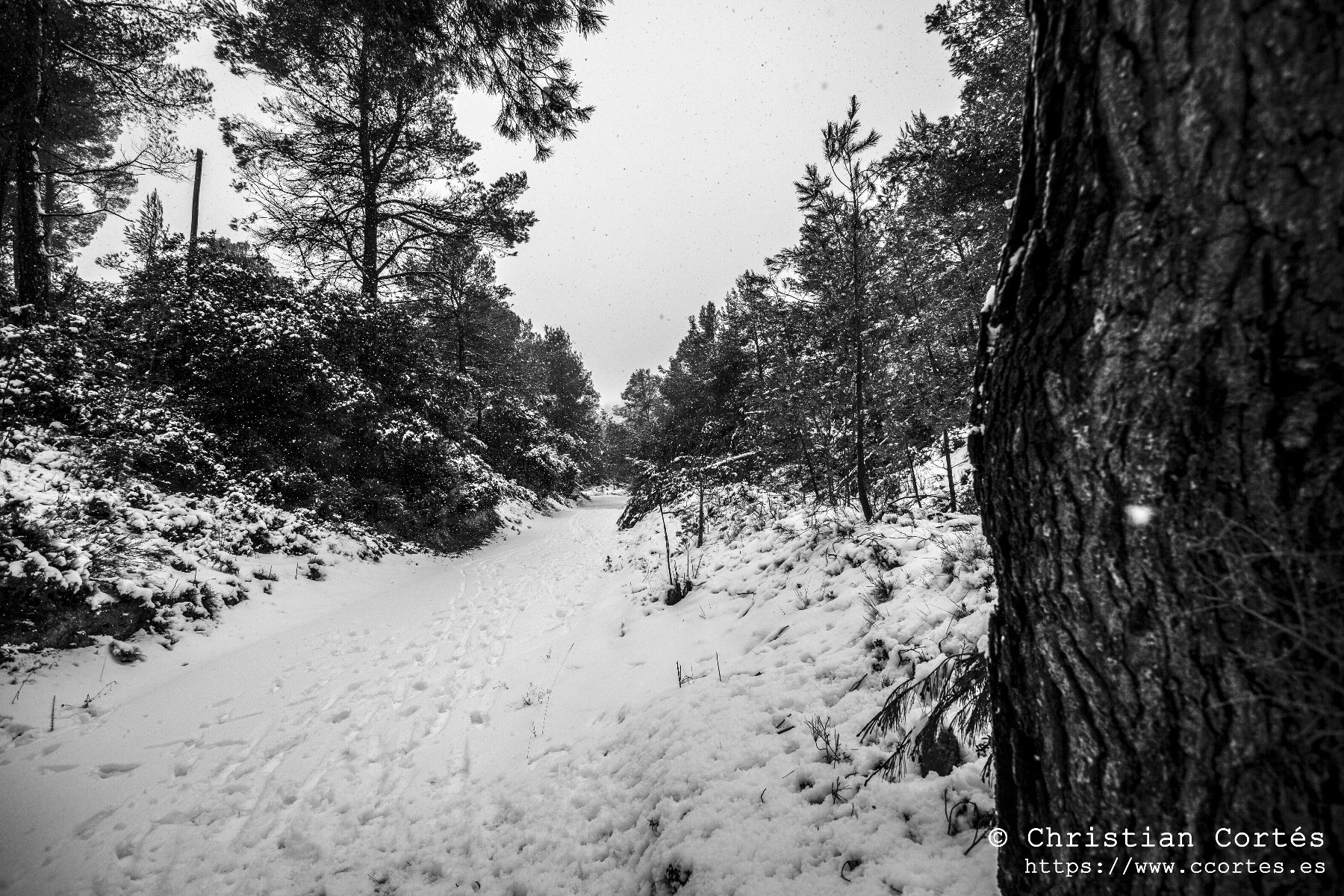 Nieve en Alicante 01